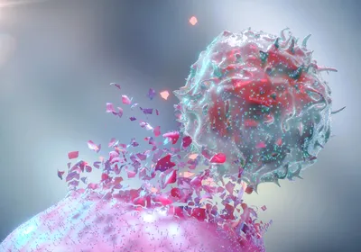 Discover How to Develop, Optimize, and Scale a Protocol for Generating Genetically Modified NK Cells